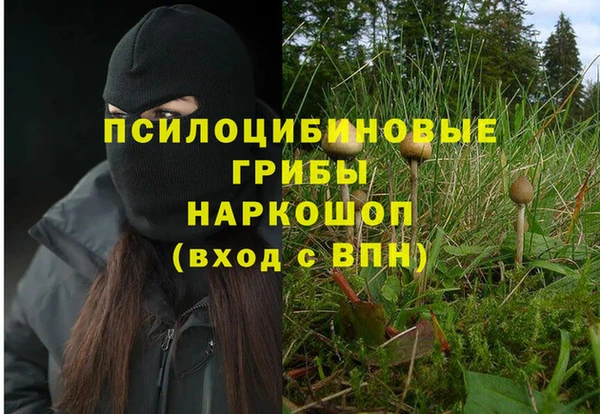 МДПВ Михайловка