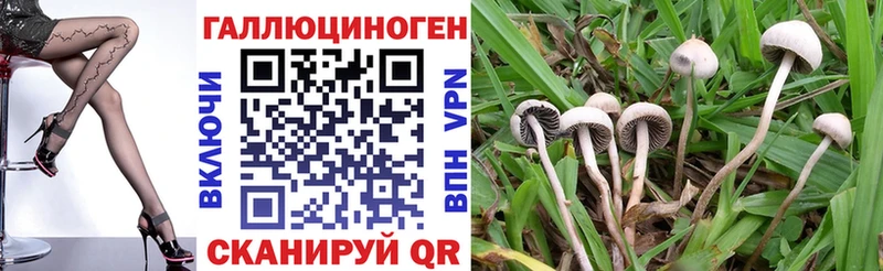 где можно купить наркотик  Новопавловск  дарк нет как зайти  Галлюциногенные грибы ЛСД 